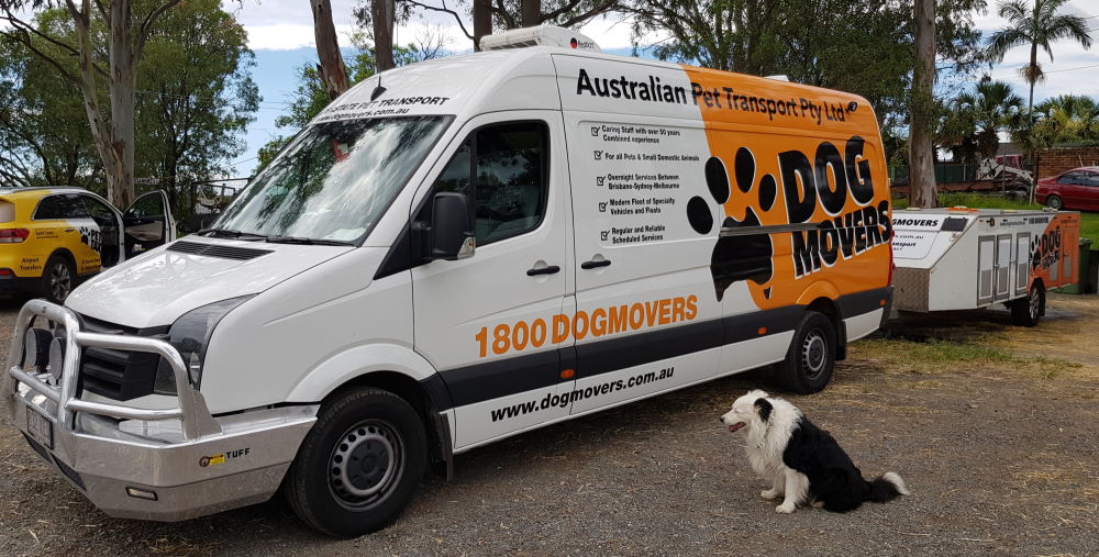 Pet Transport throughout QLD, NSW, ACT, VIC & SA - Dogmovers