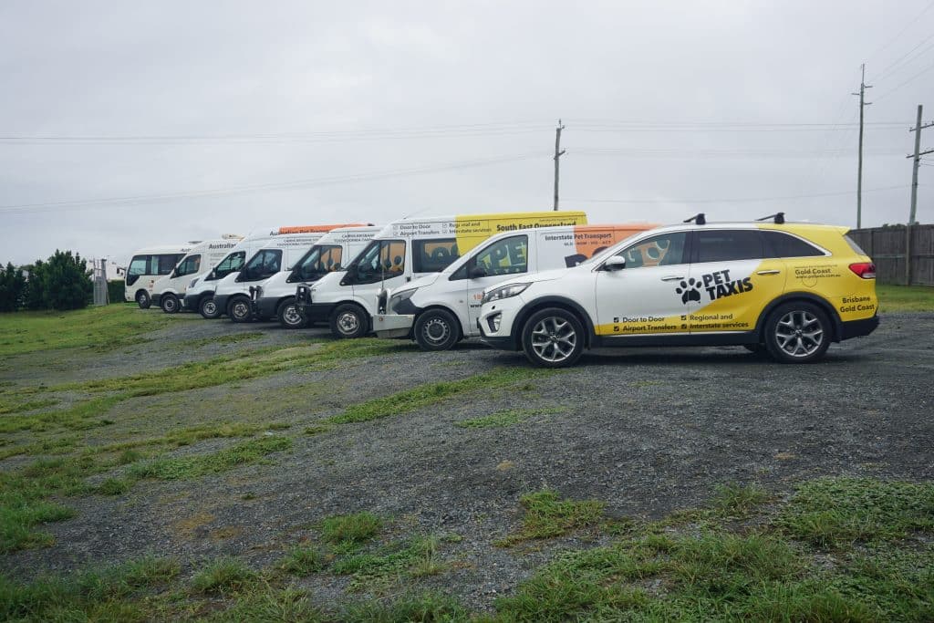 Interstate Pet Transport Options Dogmovers