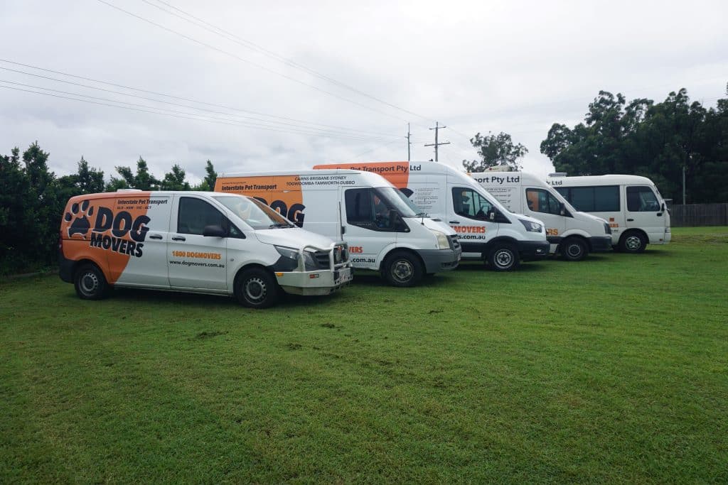 Dog transport shops interstate