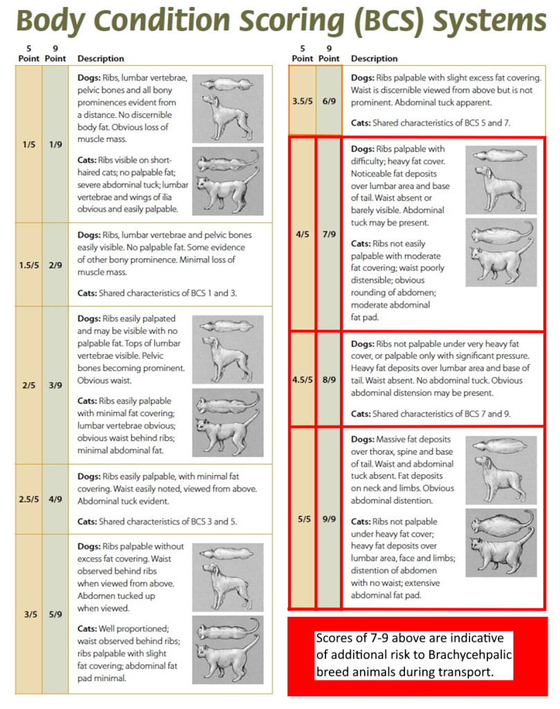 BCS - Body Condition Score chart in Dogs & Cats