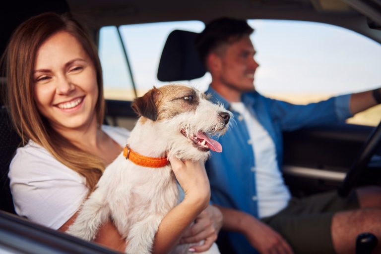 Happiness couple and their dog traveling together - Dog Movers